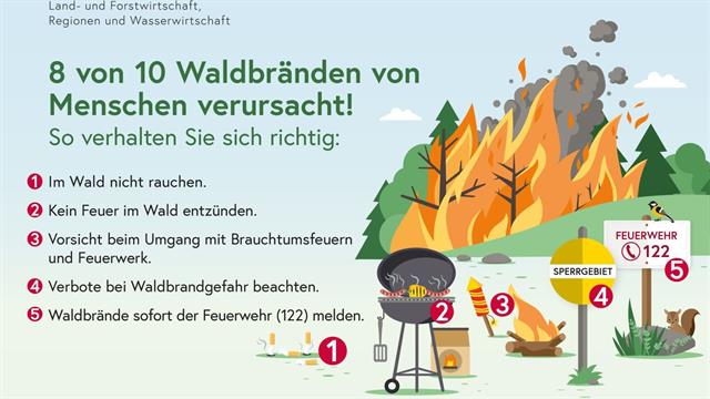 Plakat Vermeidung von Waldbränden